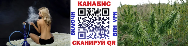купить наркотик  Кирсанов  Шишки марихуана AK-47 
